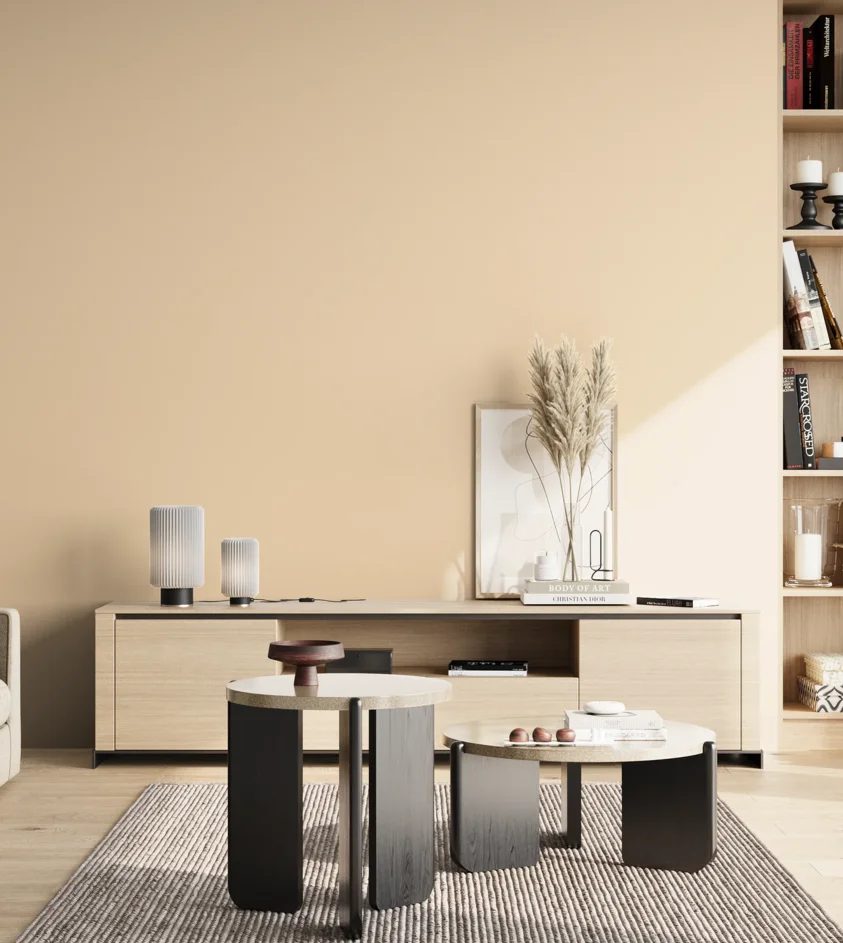 P10_SNIEZKA_salon_02_poludnie_GREY_S0510-Y40R