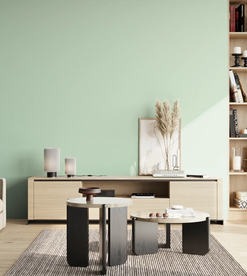 P10_SNIEZKA_salon_02_poludnie_GREY_S0515-G