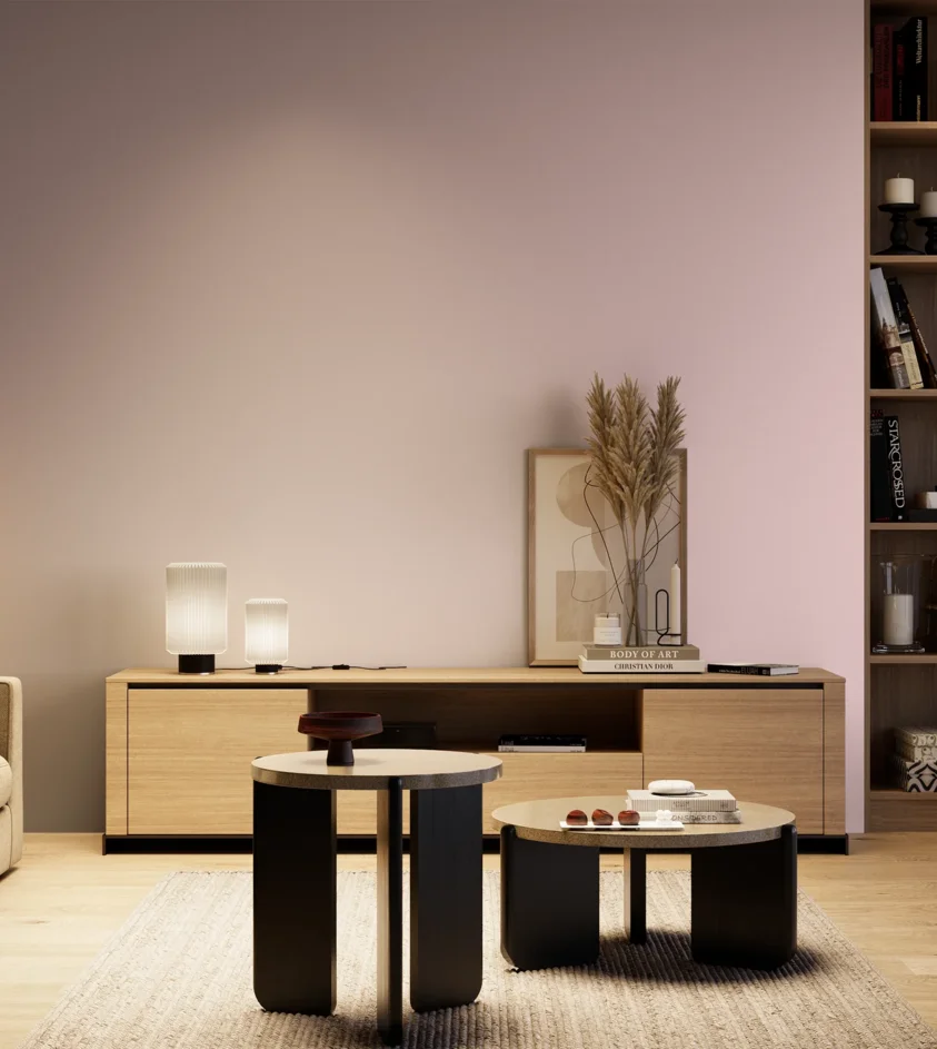 P10_SNIEZKA_salon_04_cieple_GREY_S0515-R20B