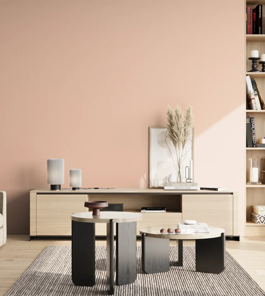 P10_SNIEZKA_salon_02_poludnie_GREY_S0515-Y70R