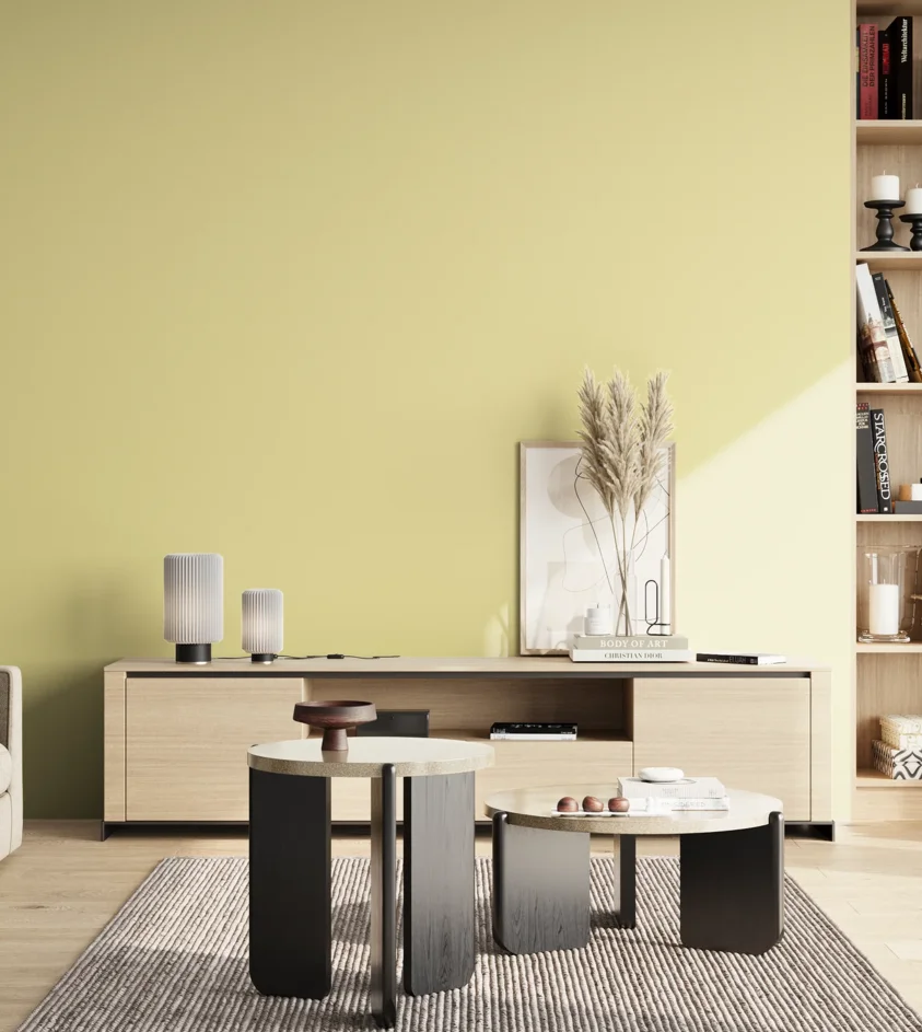 P10_SNIEZKA_salon_02_poludnie_GREY_S0520-G90Y