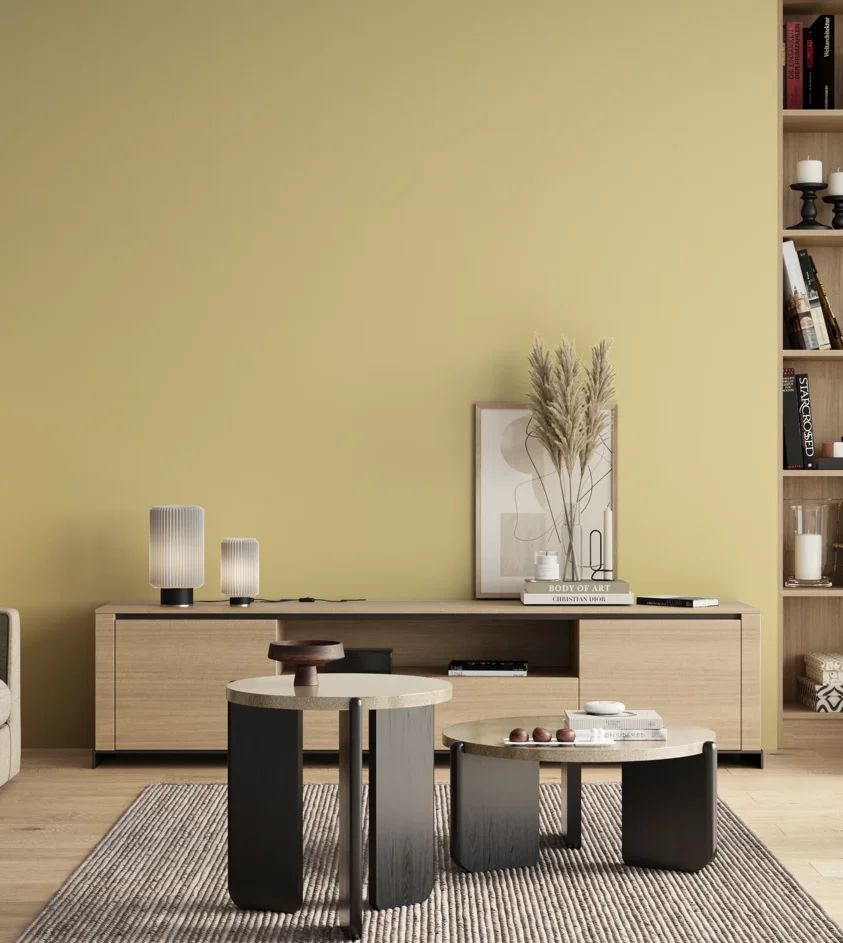 P10_SNIEZKA_salon_00_neutral_GREY_S0520-Y
