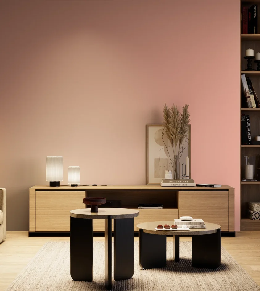 P10_SNIEZKA_salon_04_cieple_GREY_S0530-Y90R