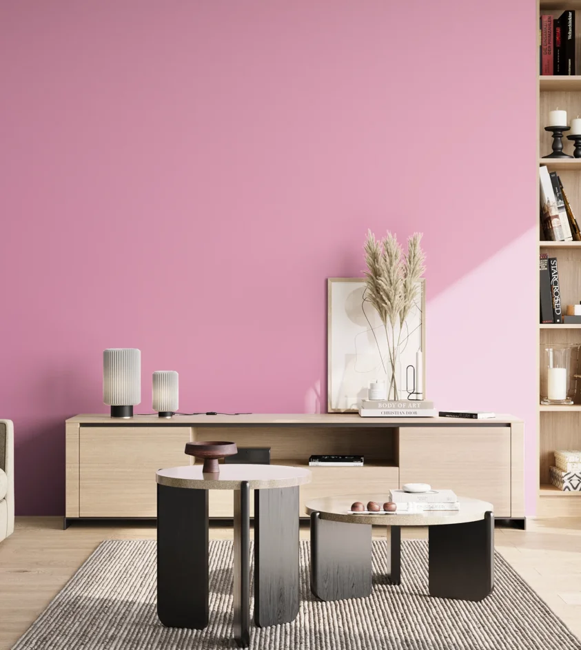 P10_SNIEZKA_salon_02_poludnie_GREY_S0540-R30B