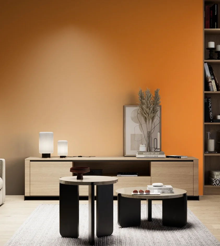 P10_SNIEZKA_salon_05_zimne_GREY_S0580-Y40R