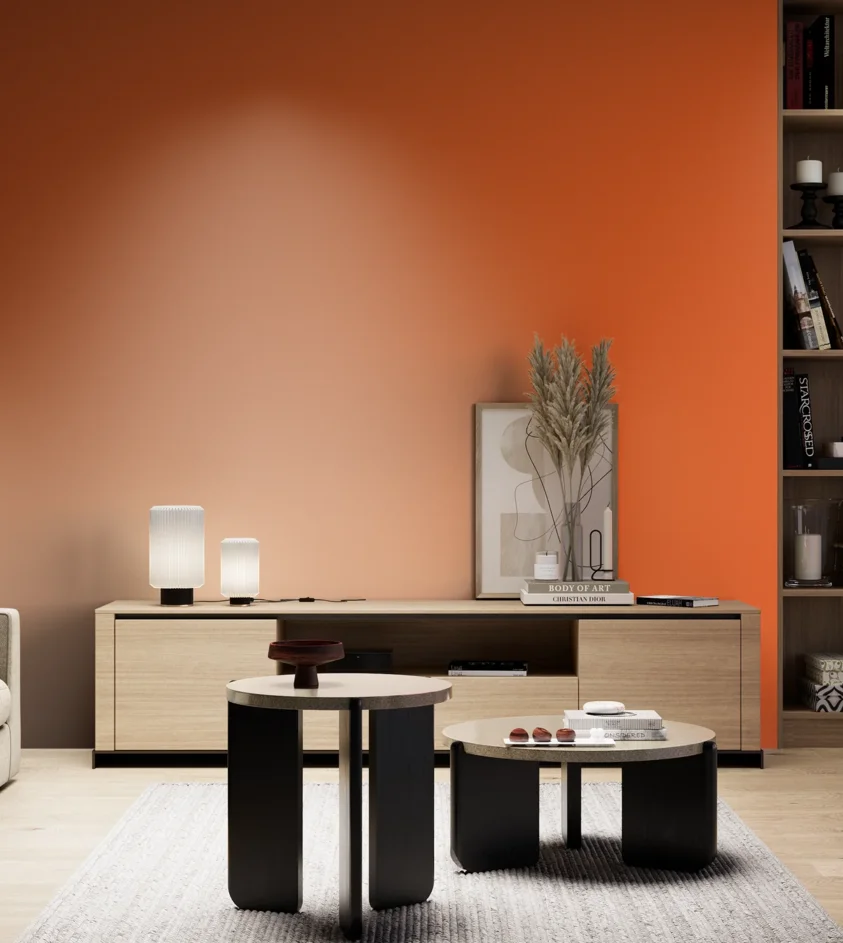 P10_SNIEZKA_salon_05_zimne_GREY_S0585-Y60R