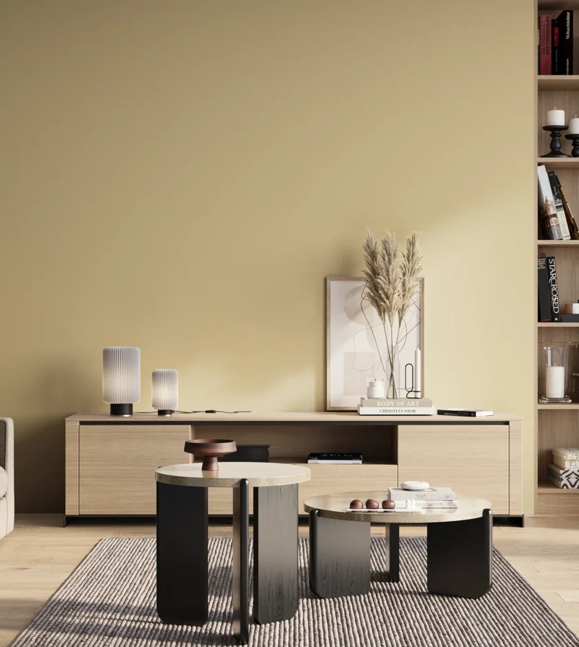 P10_SNIEZKA_salon_01_poranek_GREY_S1015-Y10R