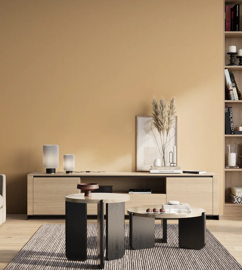 P10_SNIEZKA_salon_01_poranek_GREY_S1020-Y30R