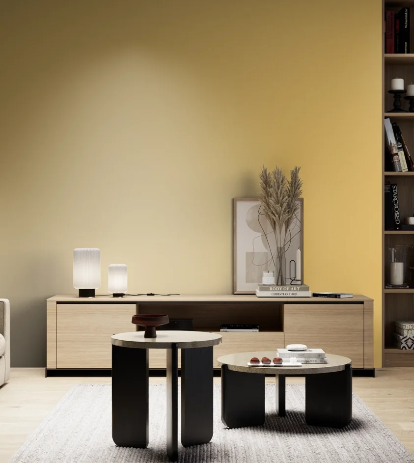 P10_SNIEZKA_salon_05_zimne_GREY_S1040-Y10R
