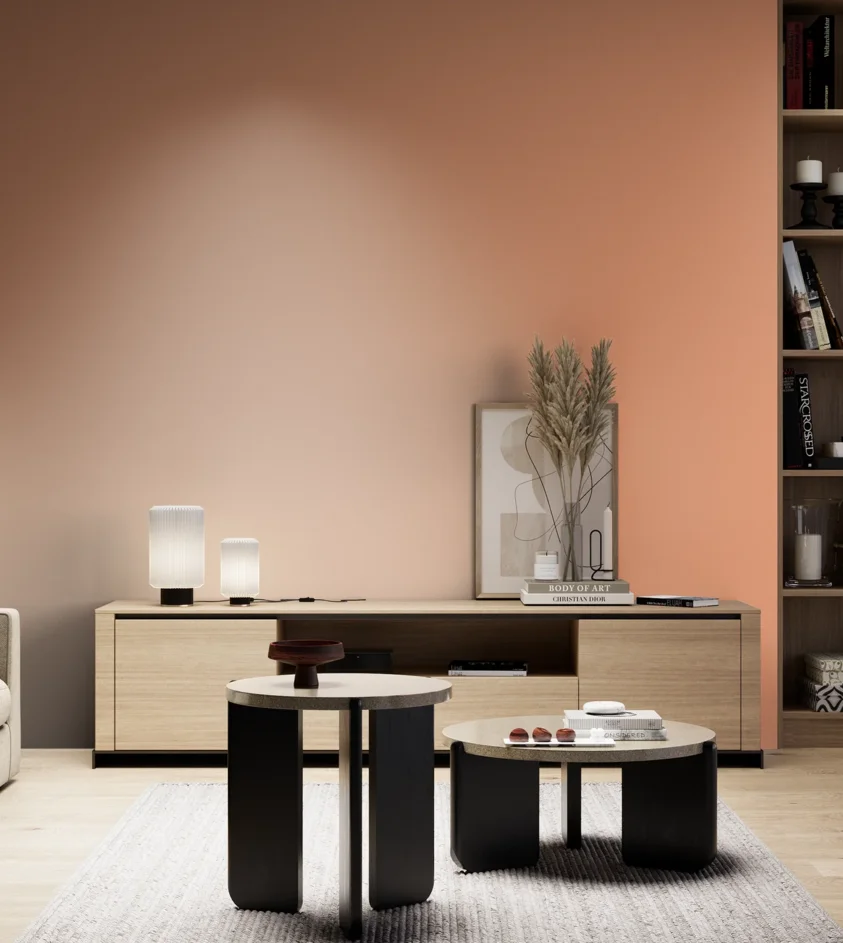 P10_SNIEZKA_salon_05_zimne_GREY_S1040-Y60R