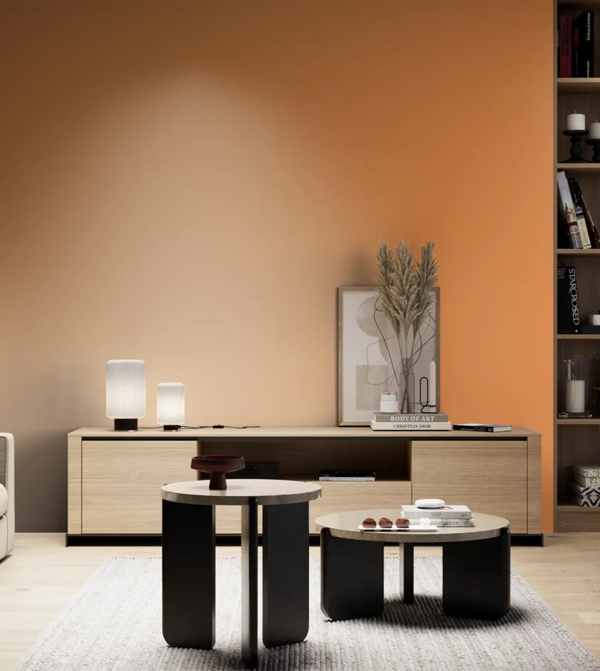 P10_SNIEZKA_salon_05_zimne_GREY_S1060-Y40R