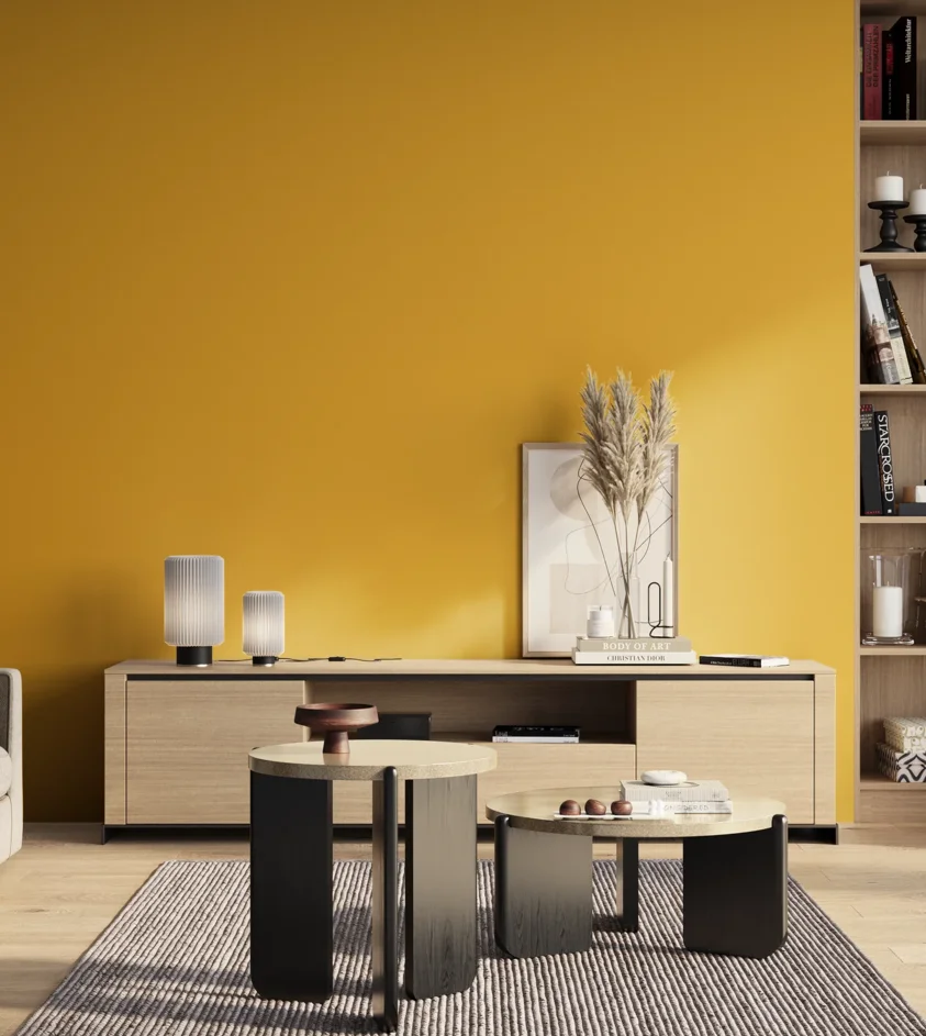 P10_SNIEZKA_salon_01_poranek_GREY_S1070-Y10R