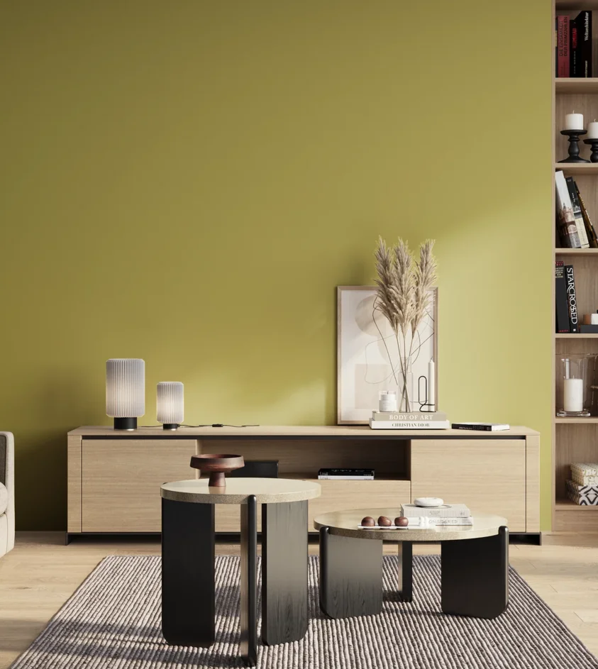 P10_SNIEZKA_salon_01_poranek_GREY_S2040-G80Y