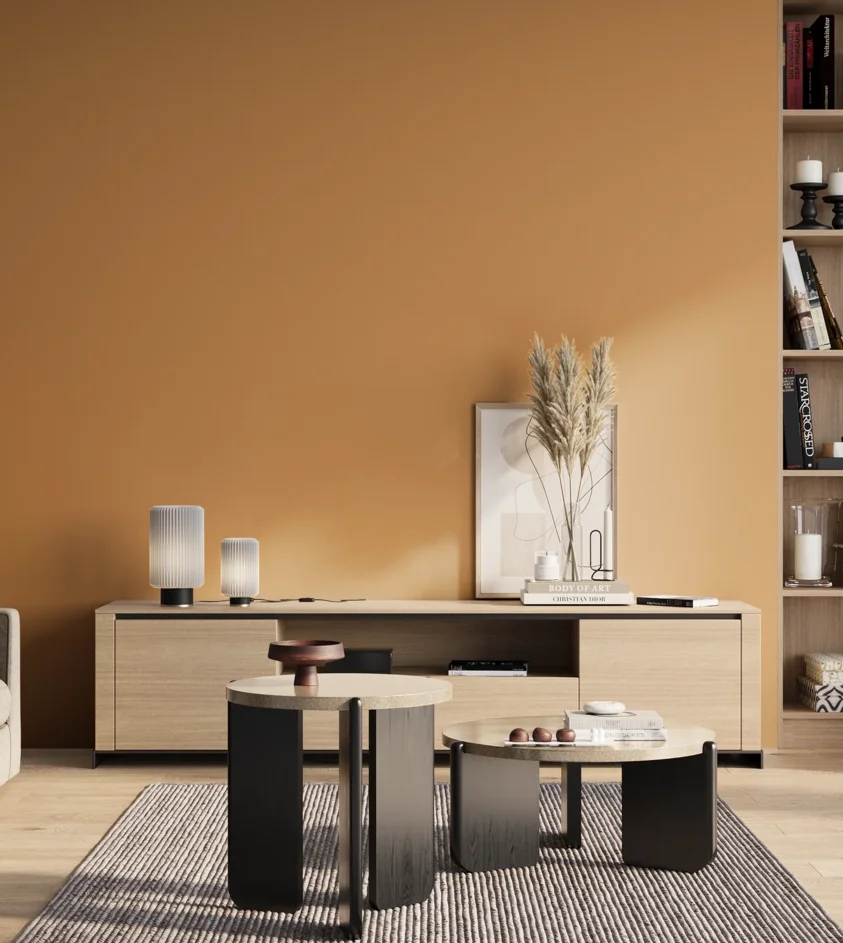 P10_SNIEZKA_salon_01_poranek_GREY_S2040-Y30R