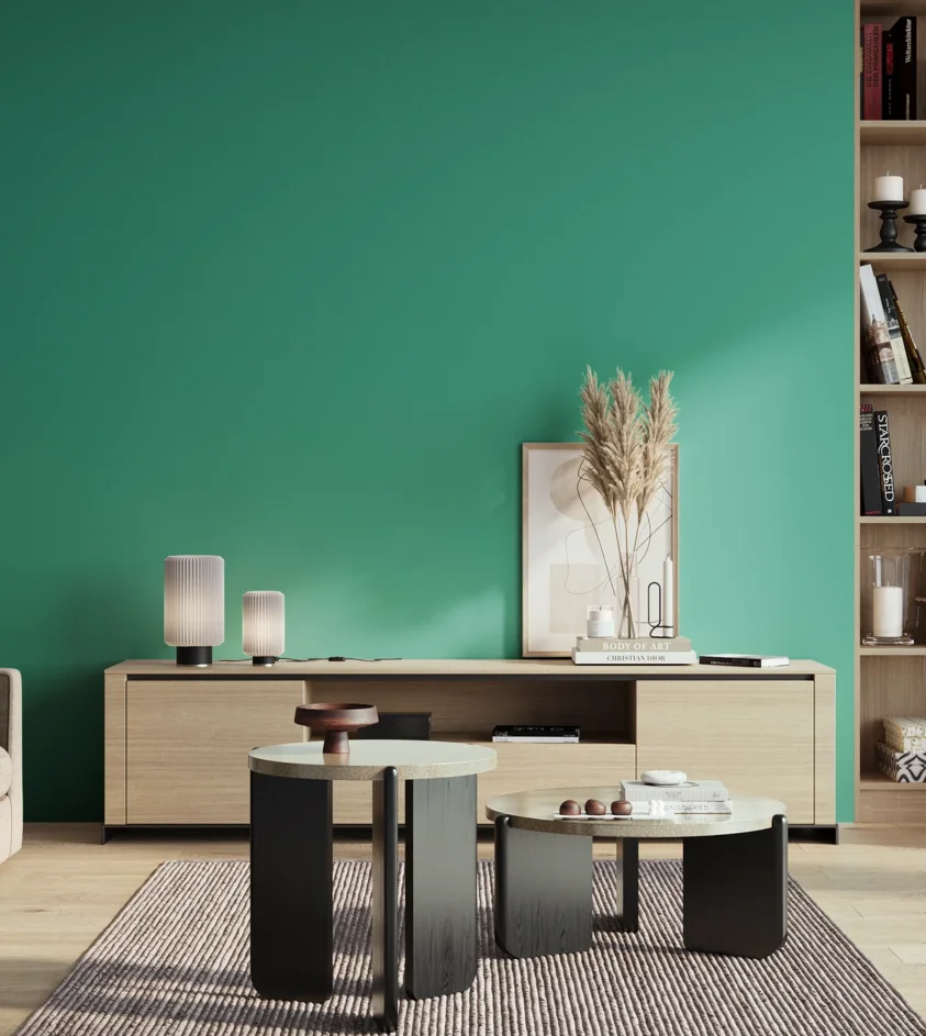 P10_SNIEZKA_salon_01_poranek_GREY_S2050-B80G