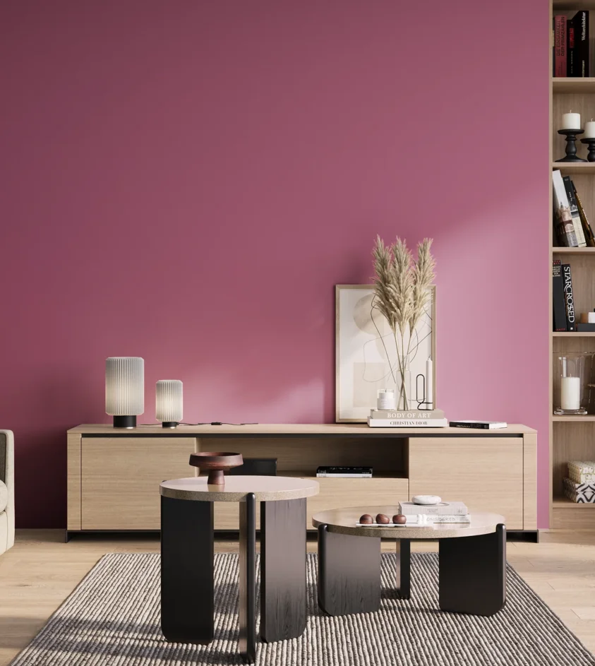 P10_SNIEZKA_salon_01_poranek_GREY_S2050-R30B