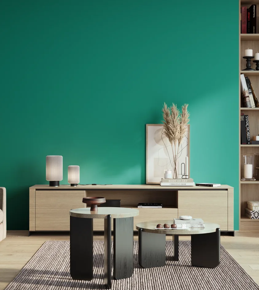 P10_SNIEZKA_salon_01_poranek_GREY_S2060-B70G