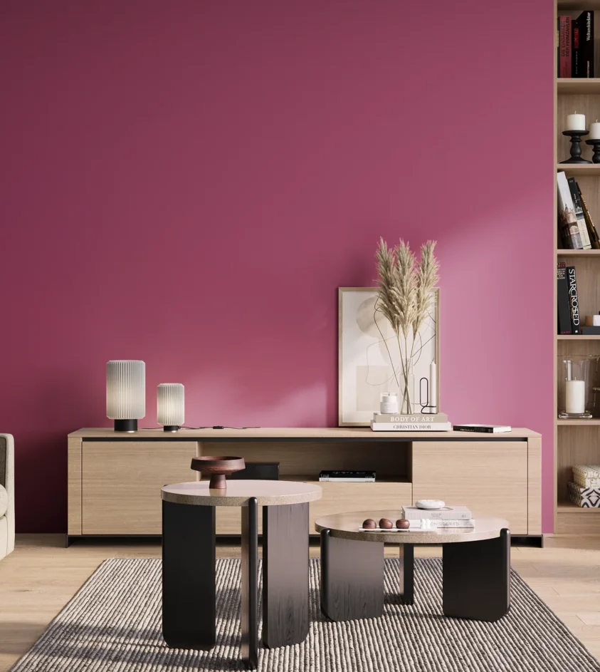 P10_SNIEZKA_salon_01_poranek_GREY_S2060-R30B