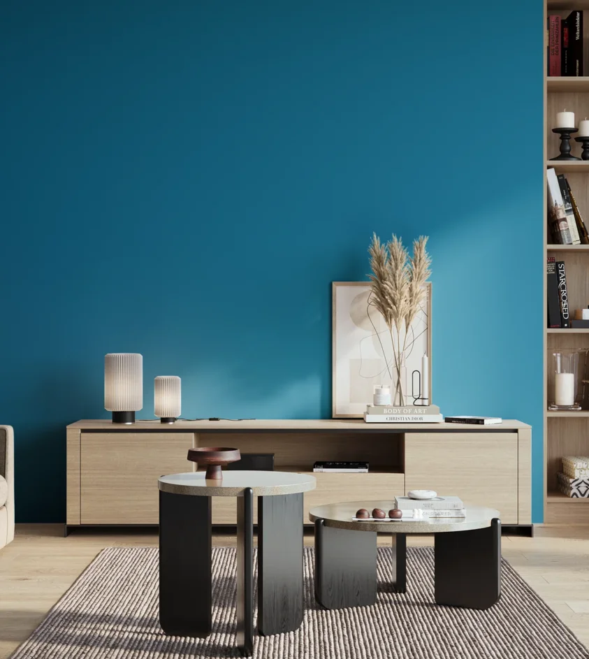 P10_SNIEZKA_salon_01_poranek_GREY_S2065-B
