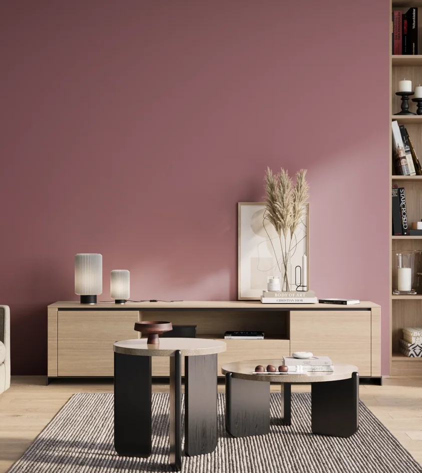 P10_SNIEZKA_salon_01_poranek_GREY_S3030-R20B