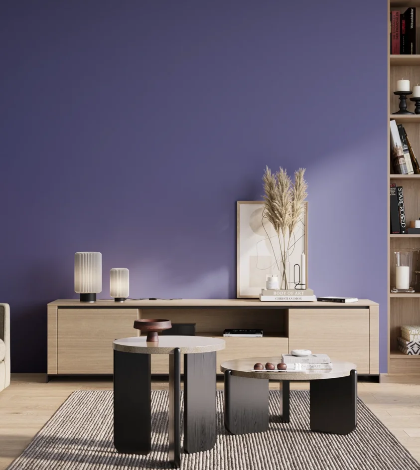 P10_SNIEZKA_salon_01_poranek_GREY_S3050-R70B