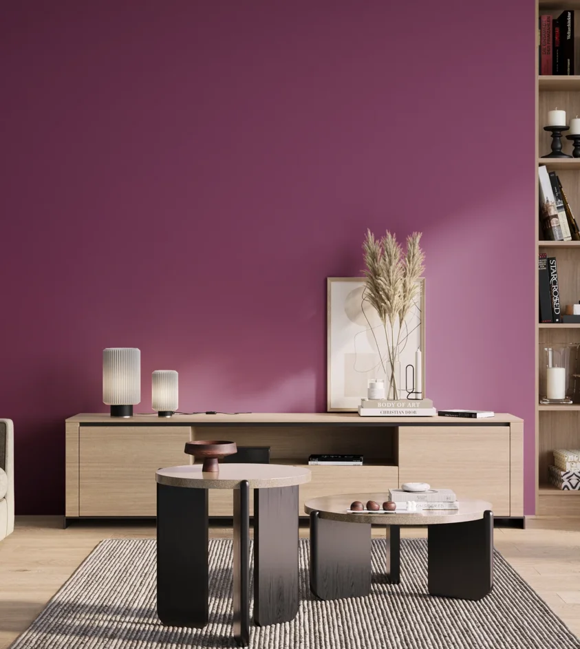 P10_SNIEZKA_salon_01_poranek_GREY_S3055-R40B