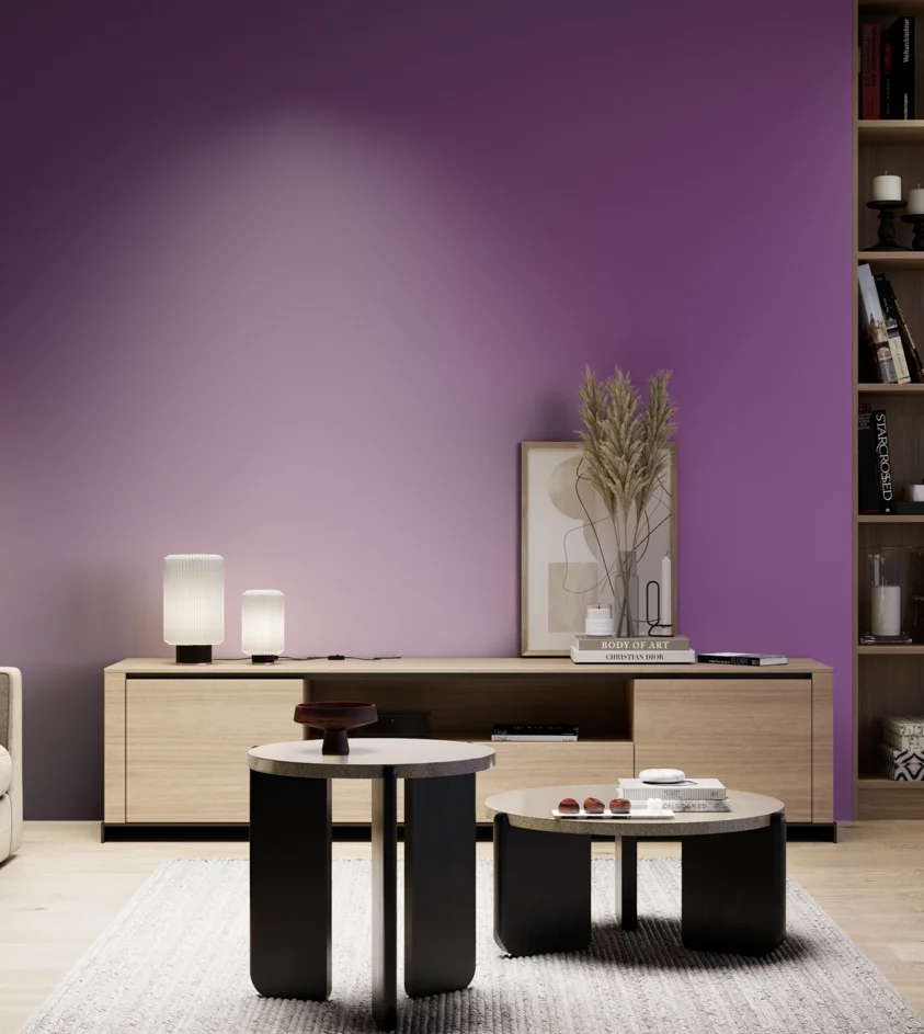 P10_SNIEZKA_salon_05_zimne_GREY_S3055-R50B