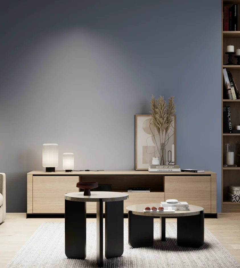 P10_SNIEZKA_salon_05_zimne_GREY_S4020-R80B
