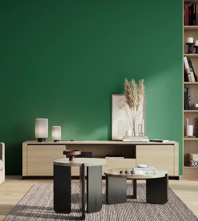 P10_SNIEZKA_salon_01_poranek_GREY_S4050-G