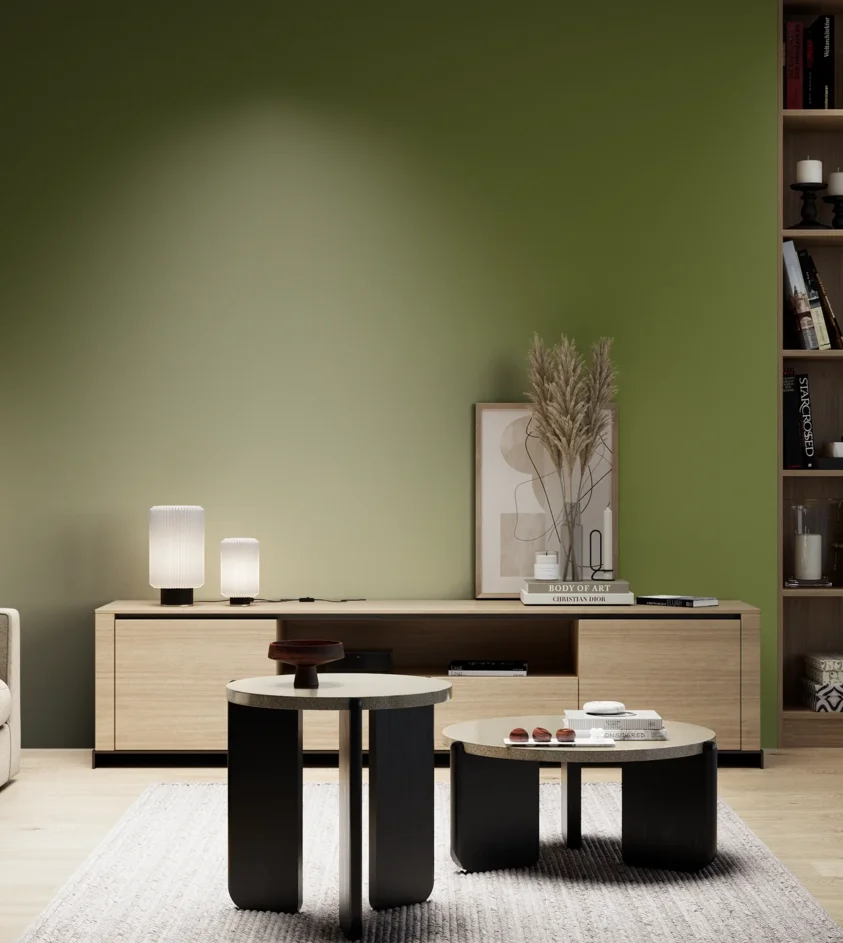 P10_SNIEZKA_salon_05_zimne_GREY_S4550-G50Y