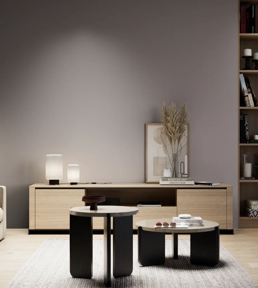 P10_SNIEZKA_salon_05_zimne_GREY_S5005-R20B