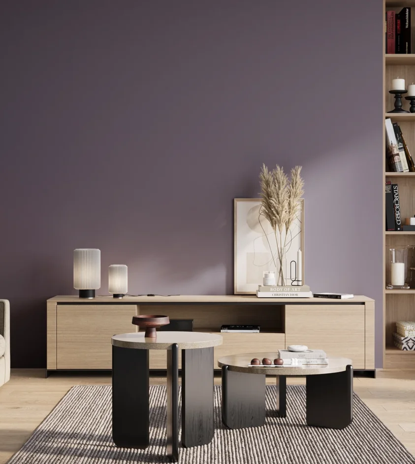 P10_SNIEZKA_salon_01_poranek_GREY_S5020-R60B