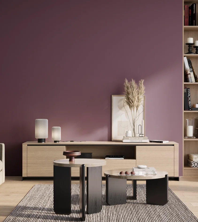 P10_SNIEZKA_salon_01_poranek_GREY_S5030-R40B