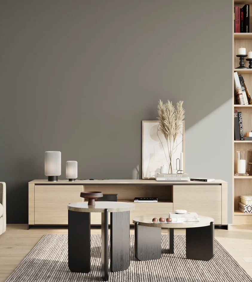 P10_SNIEZKA_salon_02_poludnie_GREY_S5502-G