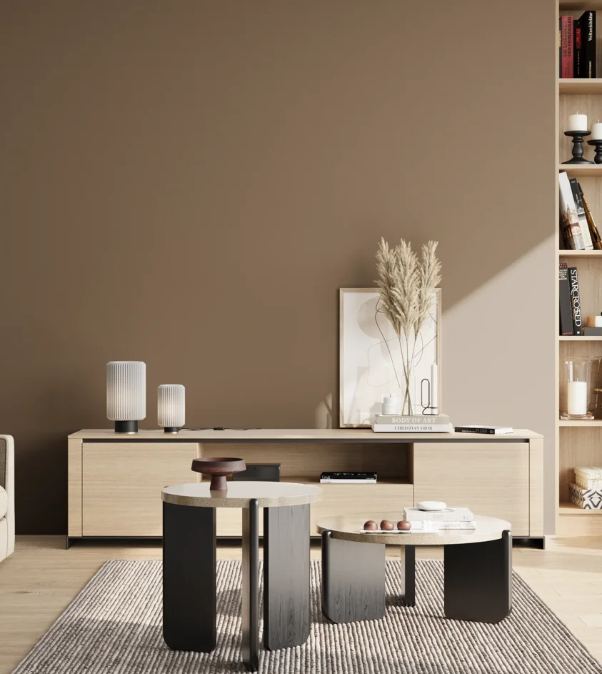 P10_SNIEZKA_salon_02_poludnie_GREY_S6010-Y30R