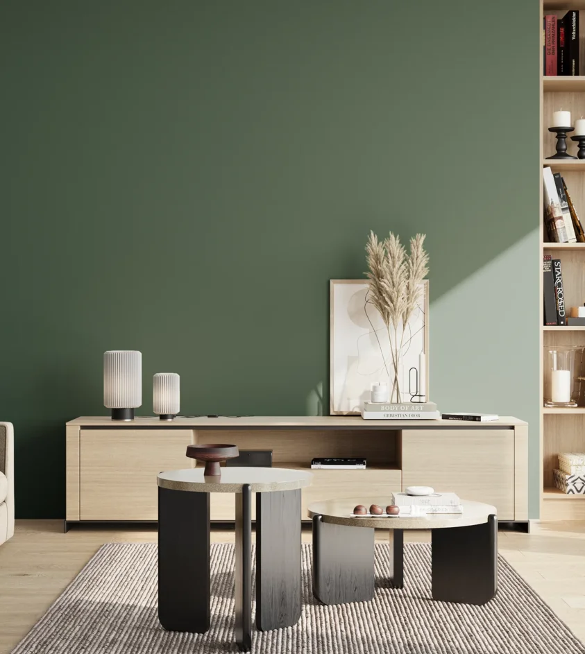 P10_SNIEZKA_salon_02_poludnie_GREY_S6020-G