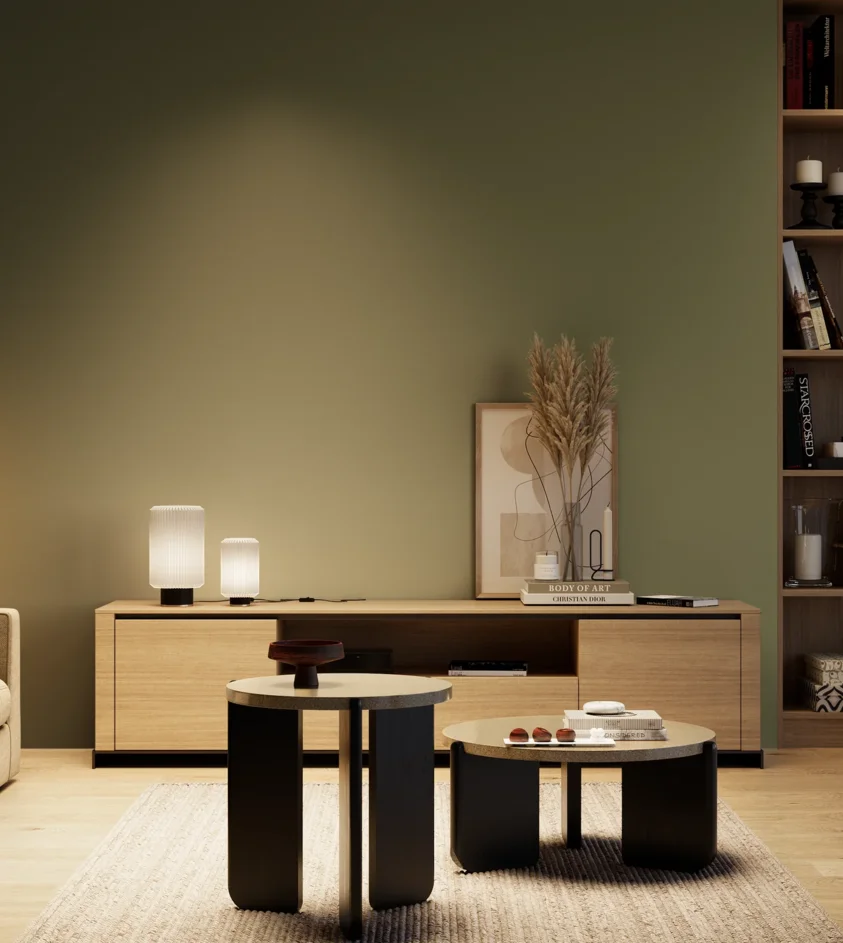 P10_SNIEZKA_salon_04_cieple_GREY_S6020-G50Y