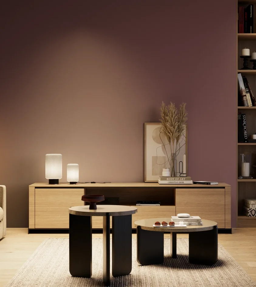 P10_SNIEZKA_salon_04_cieple_GREY_S6020-R20B