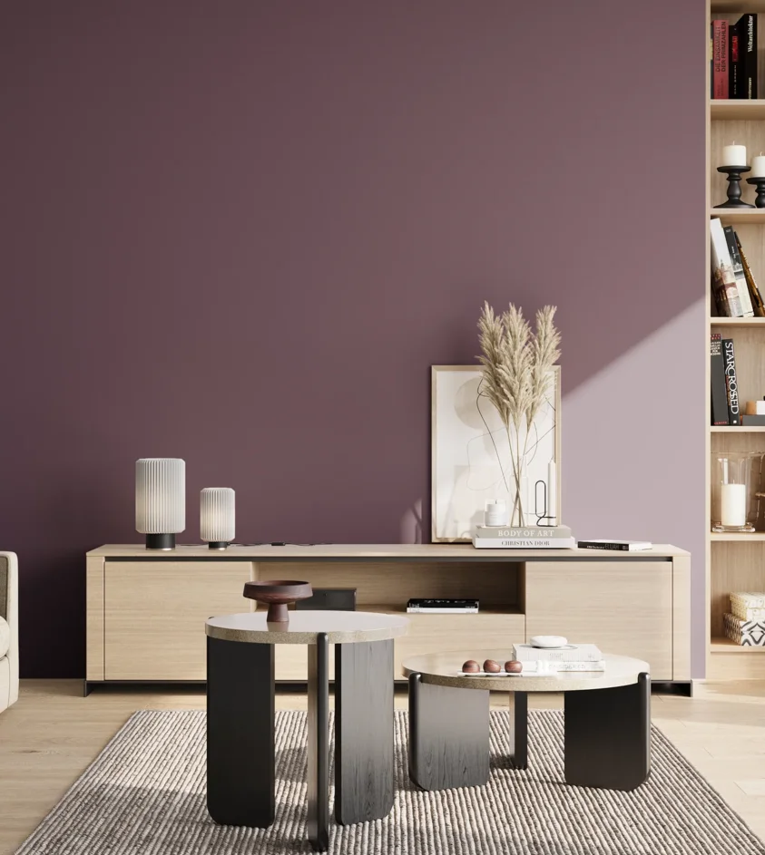 P10_SNIEZKA_salon_02_poludnie_GREY_S6020-R40B