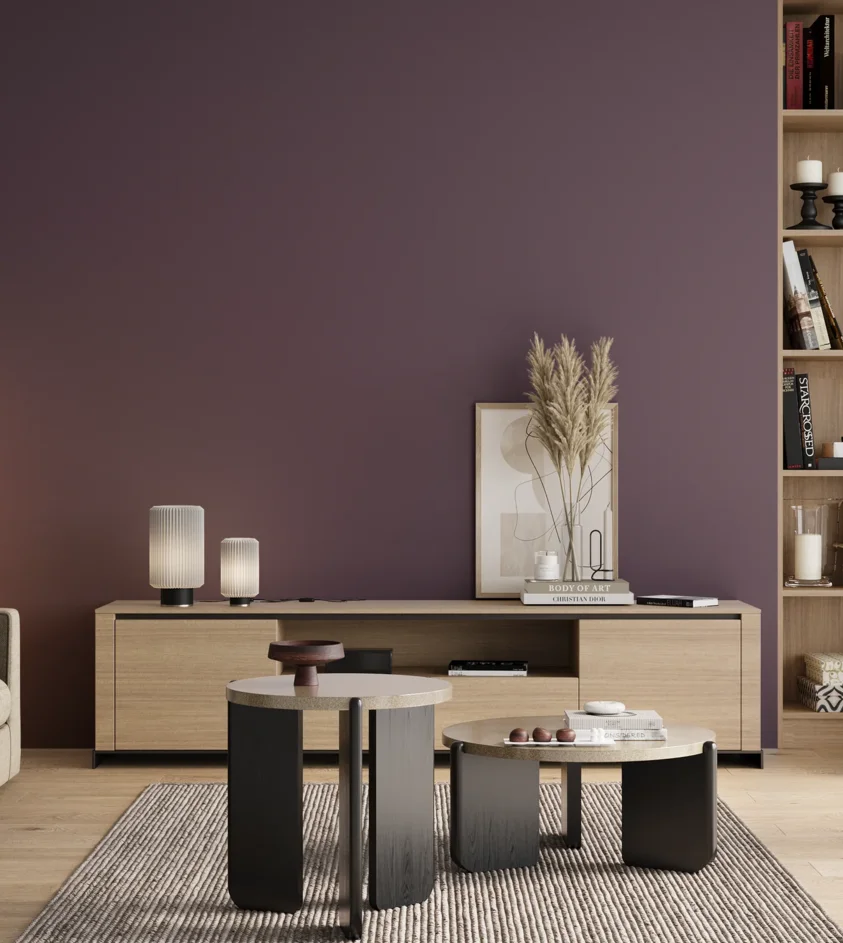 P10_SNIEZKA_salon_00_neutral_GREY_S6020-R50B