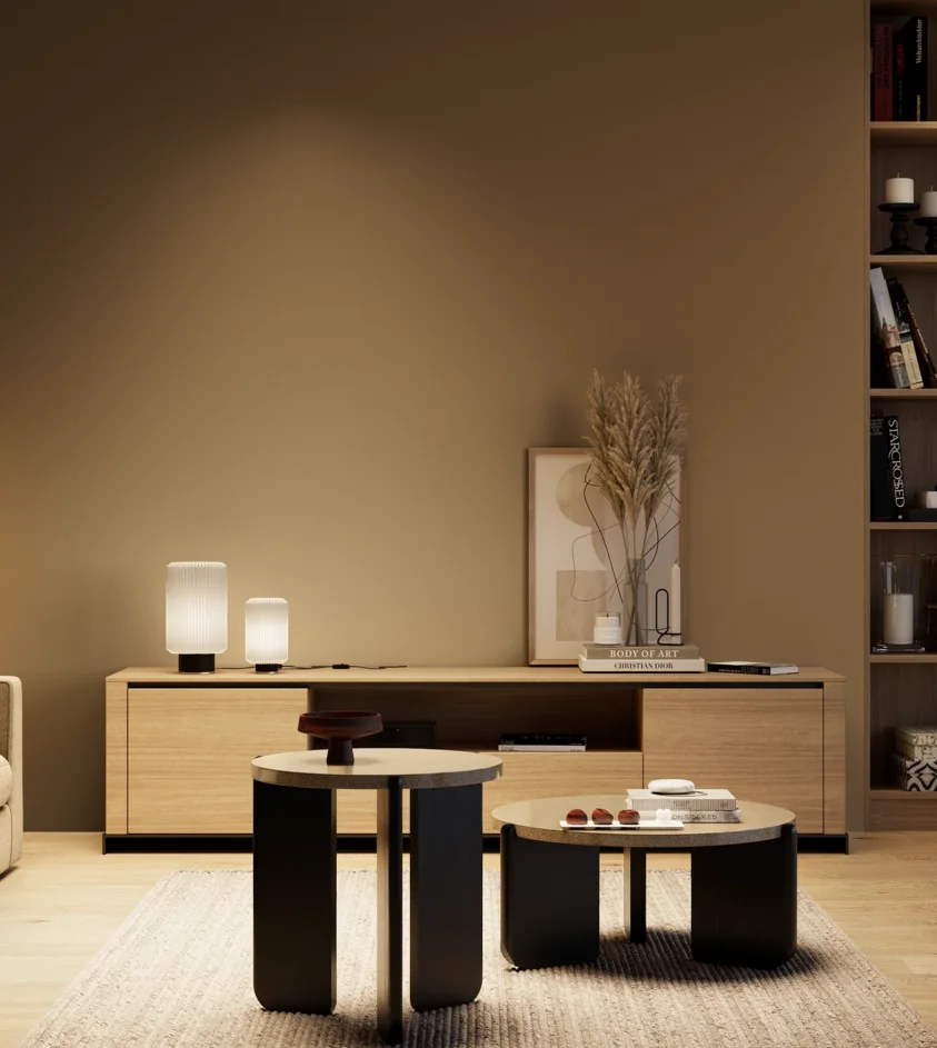 P10_SNIEZKA_salon_04_cieple_GREY_S6020-Y20R