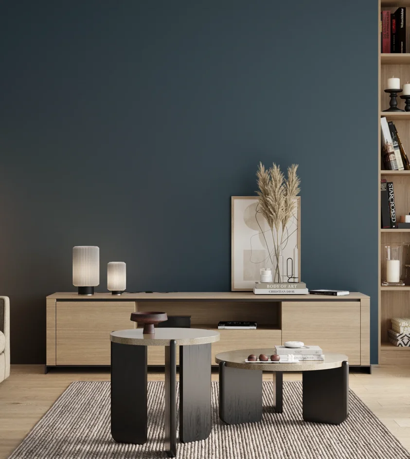 P10_SNIEZKA_salon_00_neutral_GREY_S6030-B