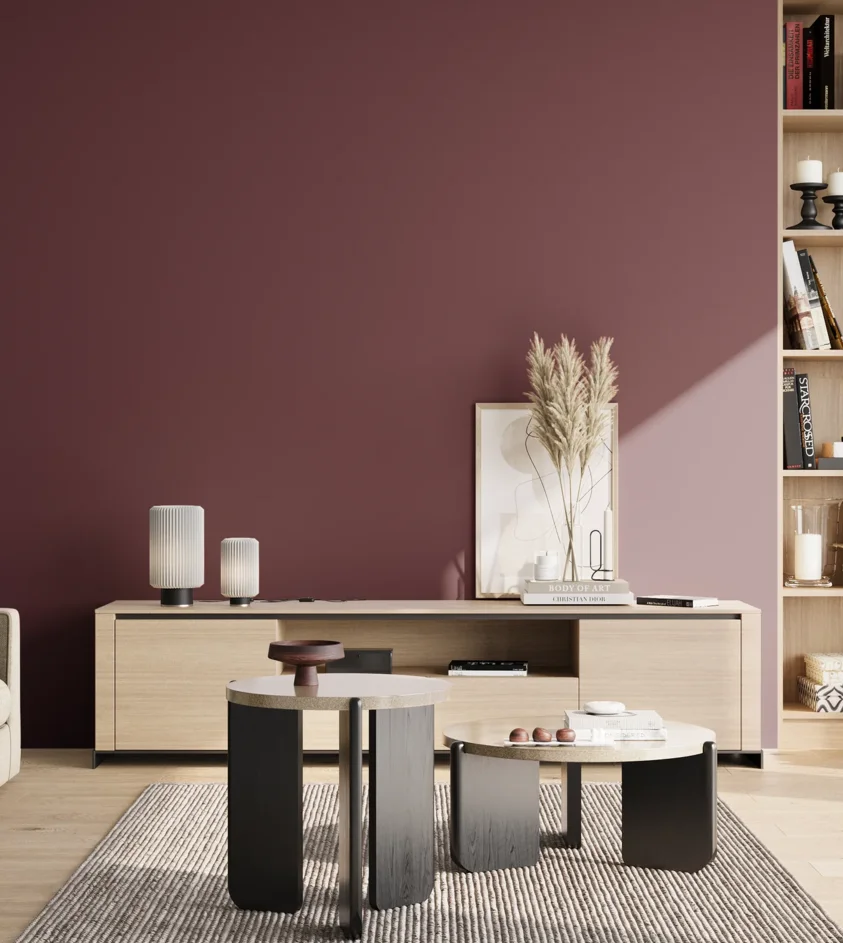 P10_SNIEZKA_salon_02_poludnie_GREY_S6030-R20B