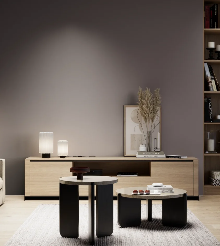 P10_SNIEZKA_salon_05_zimne_GREY_S7005-R20B