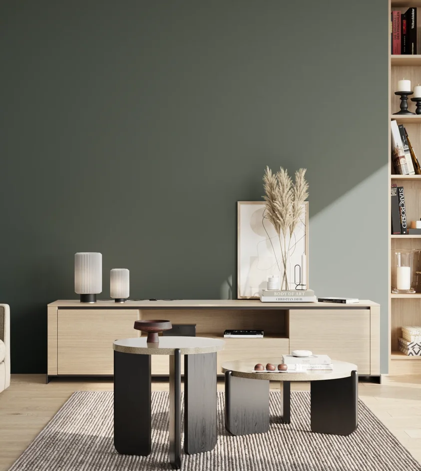 P10_SNIEZKA_salon_02_poludnie_GREY_S7010-B70G