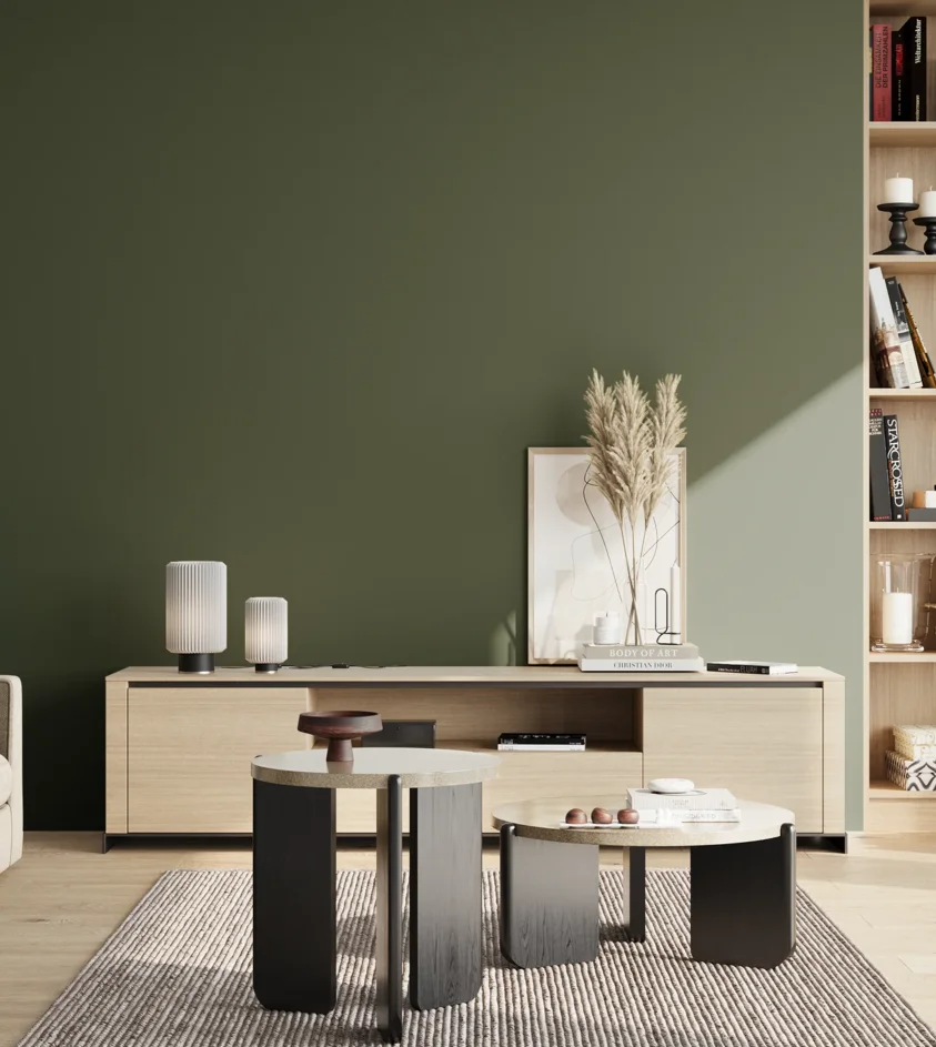 P10_SNIEZKA_salon_02_poludnie_GREY_S7020-G30Y