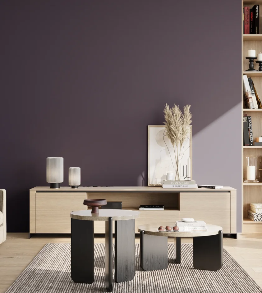 P10_SNIEZKA_salon_02_poludnie_GREY_S7020-R60B