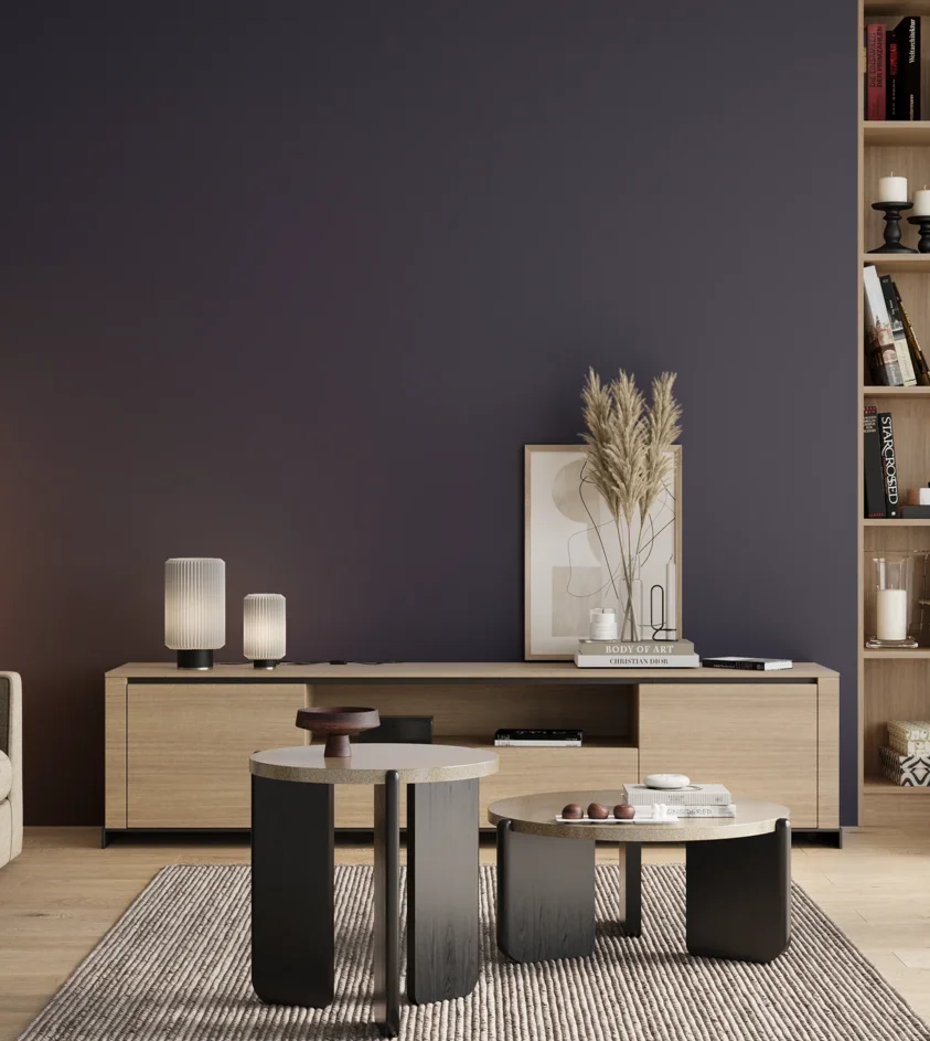 P10_SNIEZKA_salon_00_neutral_GREY_S7020-R70B
