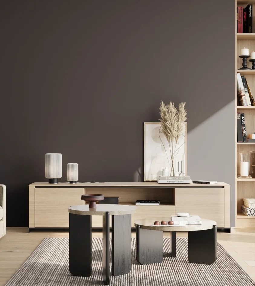 P10_SNIEZKA_salon_02_poludnie_GREY_S8005-R50B
