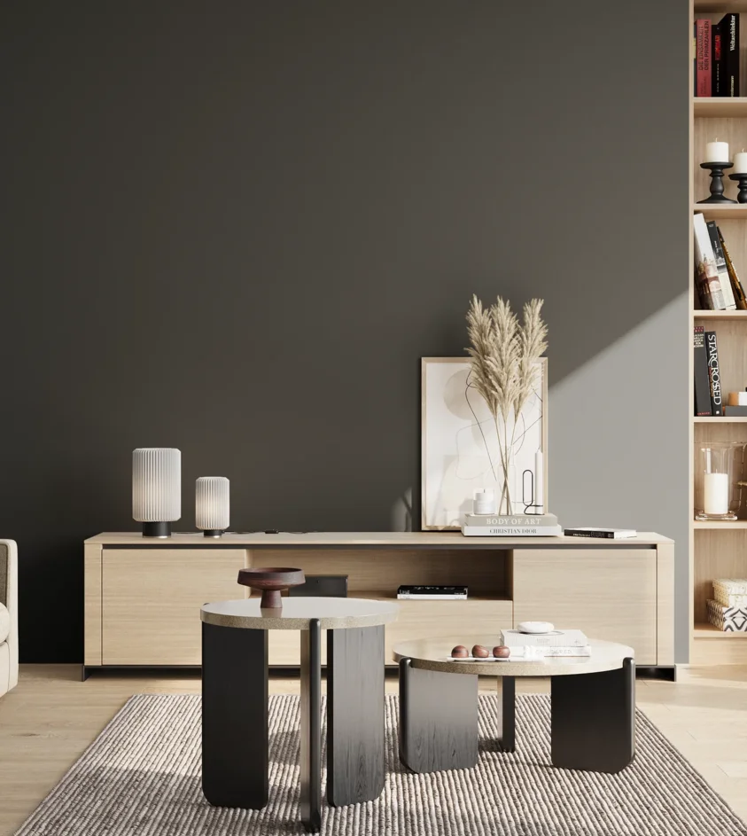 P10_SNIEZKA_salon_02_poludnie_GREY_S8505-B20G